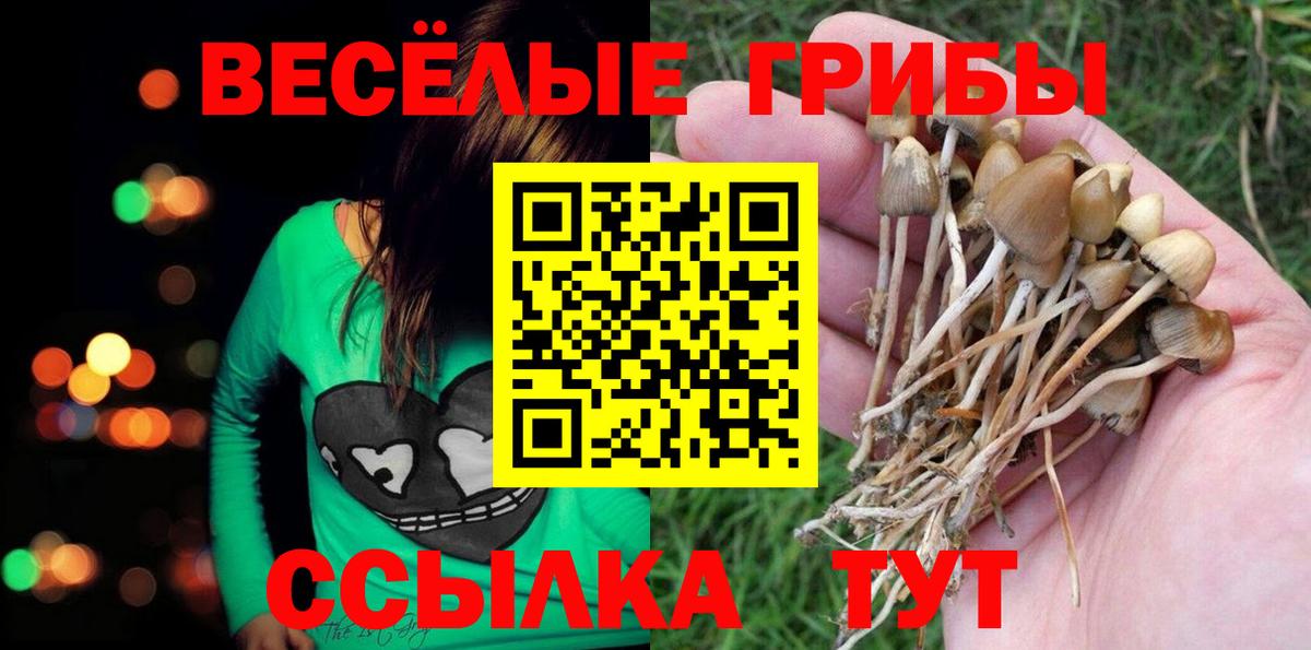 Псилоцибиновые грибы Psilocybe  Вход с VPN  наркота  Кстово 